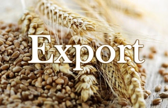 Україна витісняє конкурентів в експорті зерна до Єгипту фото, ілюстрація