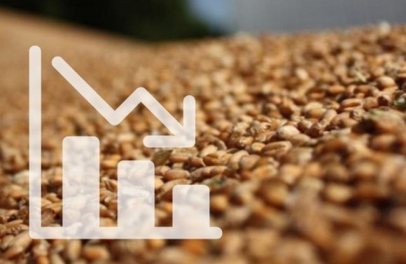 У поточному маркетинговому році експорт зернових і зернобобових впав на 33% фото, ілюстрація