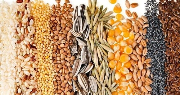 В Мінагрополітики обговорили розширення переліку насіння, яке можна експортувати до ЄС фото, ілюстрація