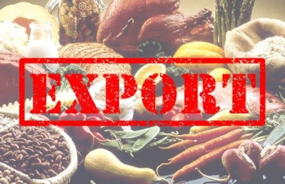 Україна у вересні планує експортувати близько 5 млн тонн сільськогосподарської продукції фото, ілюстрація