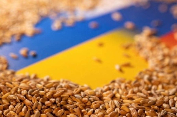 З трьох портів України за неповний місяць роботи «зернового коридору» вивезли на експорт перший мільйон тонн агропродукції фото, ілюстрація