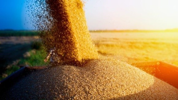 Продукти з черкаського зерна їдять в сорока країнах світу фото, иллюстрация