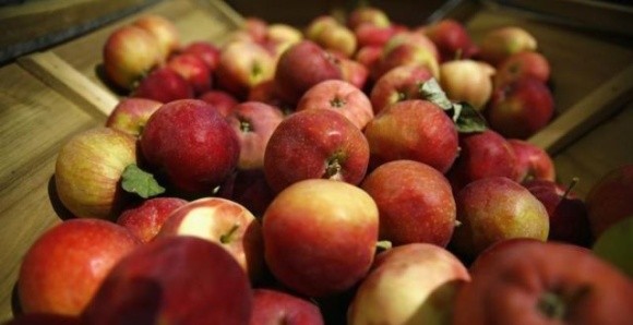 Дорога логістика та низька якість – фермери не хочуть експортувати яблука фото, ілюстрація