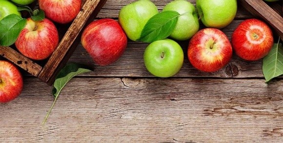Україна займає друге місце серед експортерів яблук до ОАЕ фото, ілюстрація