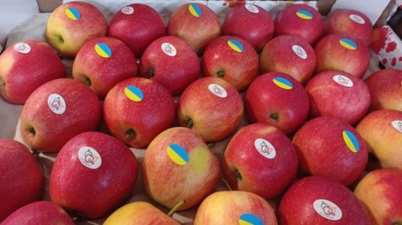 Україна відправила до Швеції 60 тонн яблук фото, иллюстрация