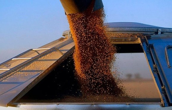 До початку літа Україна зможе експортувати всі залишки зерна, – УЗА фото, ілюстрація