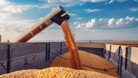 Ситуація з експортом зерна має покращитись в найближчі місяці фото, ілюстрація