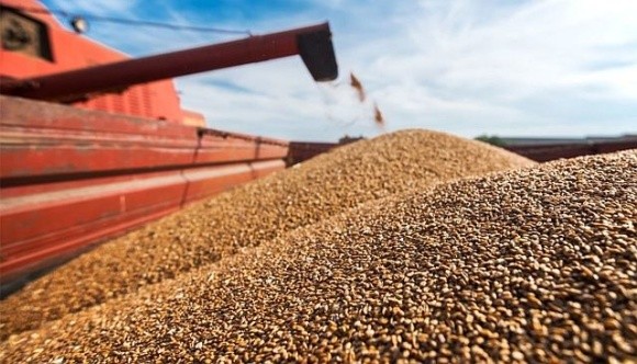 Найбільшими покупцями українського зерна у минулому році стали країни ЄС, Азії та Африки фото, ілюстрація