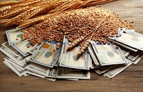 З половини експортованого зерна на сплачено жодної копійки податків, – Гетманцев фото, ілюстрація