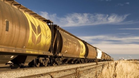 Майже 10 млн т зернових експортовано залізницею з початку року фото, ілюстрація