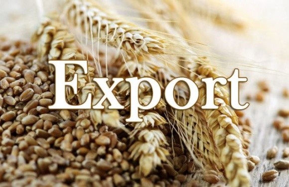 Якщо дію зернової угоди продовжать, Україна зможе експортувати 7 млн т агропродукції щомісячно фото, ілюстрація