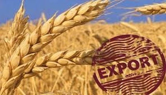 Експорт зернових і зернобобових перевищив 3 млн тонн фото, ілюстрація
