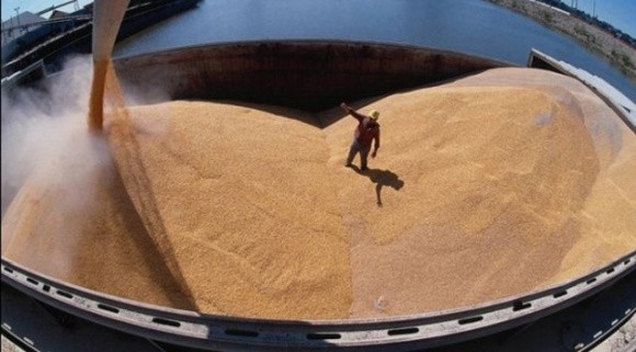 За минулий тиждень експорт зерновим коридором зріс на 94% фото, ілюстрація