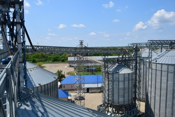 Скасування стандартів низки ГОСТів у сфері зерна і зернопродуктів може створити напруженість на ринку зерна в Україні - УкрАгроКонсалт фото, ілюстрація