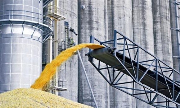 Кабмін прийняв рішення, яке допоможе експортерам зерна заощадити 15% фото, ілюстрація