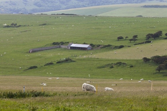 Британські фермери б’ють рекорди продуктивності фото, ілюстрація