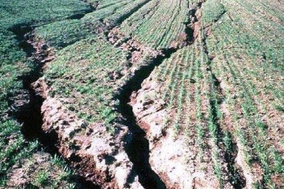 Українські аграрії втрачають третину прибутків через ерозію ґрунтів фото, ілюстрація