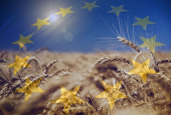 Успішний вихід на ринки ЄС українських експортерів можливий за орієнтування на стандарти Німеччини фото, ілюстрація