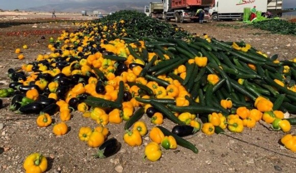 Іспанські фермери готові знищувати плодоовочеву продукцію через низькі ціни фото, ілюстрація