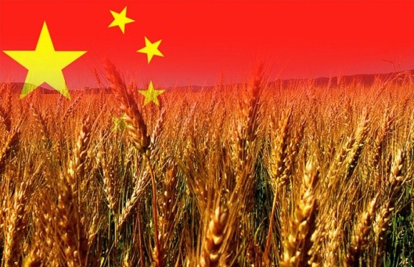 ДПЗКУ домовилася про збільшення поставок зерна до Китаю фото, ілюстрація