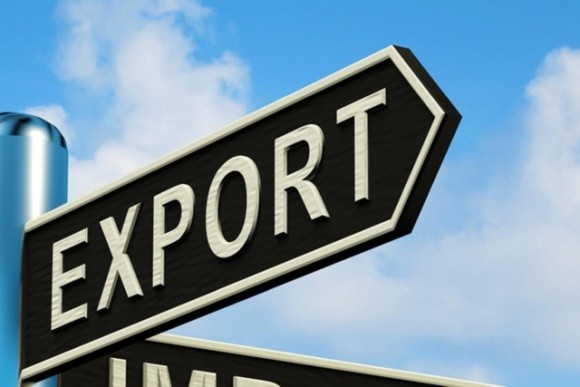 Експорт українського ріпаку та кукурудзи в ЄС може зупинитися фото, ілюстрація