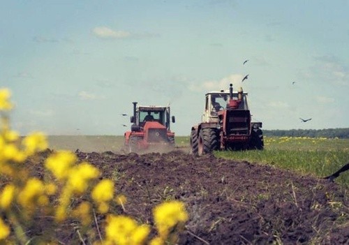 Аграріям Чернігівської області яровими залишилося засіяти 5% прогнозованих площ фото, ілюстрація