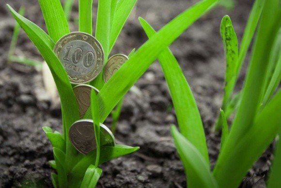 Де малим і середнім агрокомпаніям знайти "правильні" гроші? — IFC фото, ілюстрація