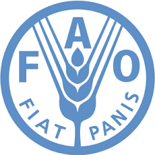 ФАО очікує падіння світового виробництва зернових фото, ілюстрація