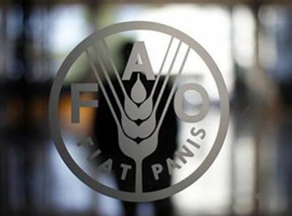 Міжнародні ціни на зернові культури надалі зростали у лютому – ФАО фото, ілюстрація