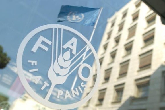 FAO допоможе 20 групам агровиробників в зоні АТО фото, ілюстрація