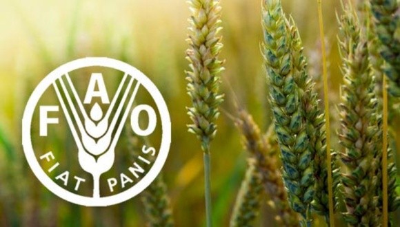 FAO проводить всесвітній сільськогосподарський перепис фото, ілюстрація