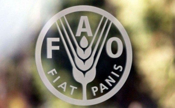 Індекс світових продовольчих цін FAO практично не змінився за квітень фото, ілюстрація