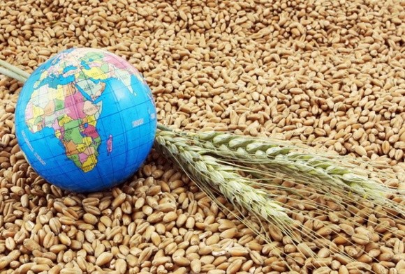 Світові ціни на продовольчі товари залишаться низькими, - FAO фото, ілюстрація