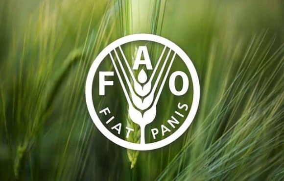 ФАО підтримує українських аграріїв: залучать ще $290 млн фото, ілюстрація