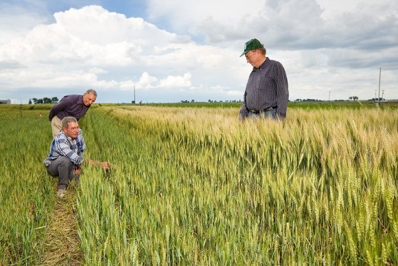 Спецрежим для аграріїв: Комітет – за, МВФ - проти фото, ілюстрація