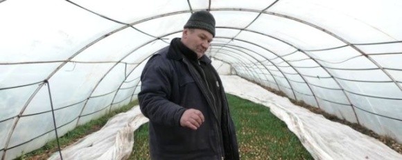 Фермер-блогер із Херсонщини вирощує цілий рік овочі та зелень фото, ілюстрація