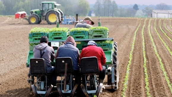 Фермери Франції отримують найбільший прибуток саме на орендованих землях, - Ж.-Ж.Ерве фото, ілюстрація