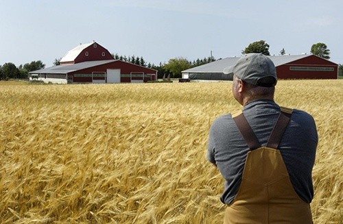 У США посилюють підтримку фермерів фото, ілюстрація