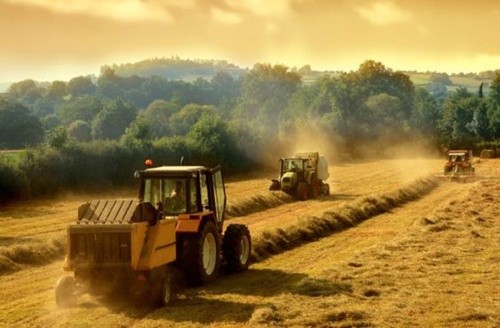 У липні 1.3 тис. фермерських господарств України отримають 63 млн грн держкомпенсації фото, ілюстрація
