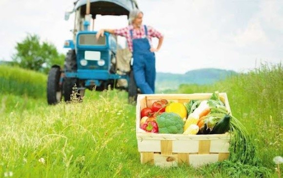 Верховна Рада України затвердила держпідтримку для фермерських господарств фото, ілюстрація