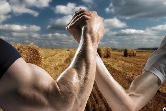 Агрохолдинги против частного фермерства фото, ілюстрація