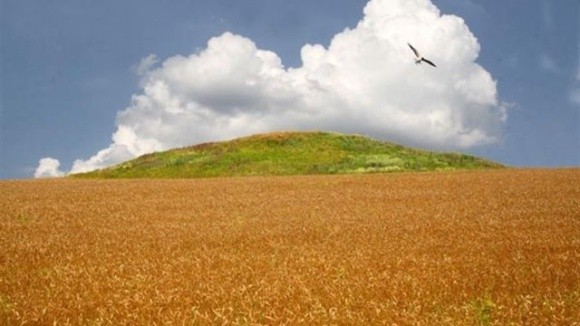 Фермер на Черкащині засіяв кукурудзою об’єкт культурної спадщини фото, ілюстрація