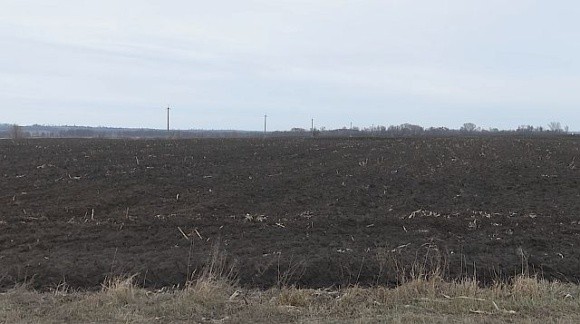 Фермери Полтавщини вимагають змінити критерії бронювання для агропідприємств фото, ілюстрація