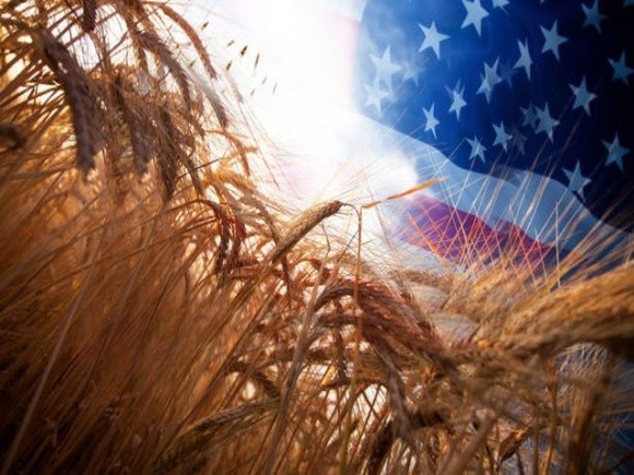 Війна в Україні вдарить по американських фермерах фото, ілюстрація