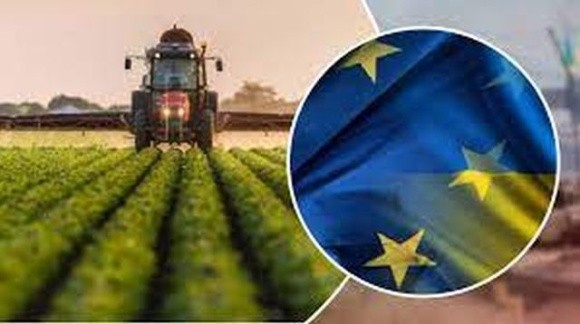 За 15 років кількість фермерських господарств в ЄС зменшилась на 37% фото, ілюстрація