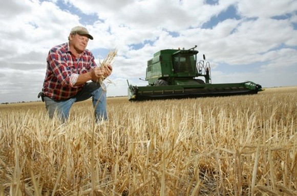 В Україні зростає кількість фермерських господарств фото, ілюстрація