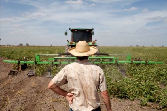Українські фермери можуть масово зупинити роботу фото, ілюстрація