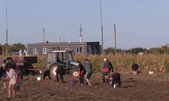 Новий бюджет передбачає додаткову фінансову допомогу фермерам фото, ілюстрація