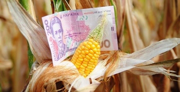 Аграріям потрібні додаткові джерела фінансування, – Денис Марчук фото, ілюстрація