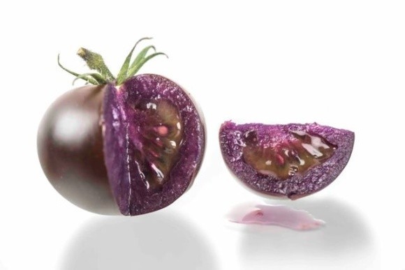 Генетично модифікований помідор захистить від раку та серцево-судинних захворювань фото, ілюстрація